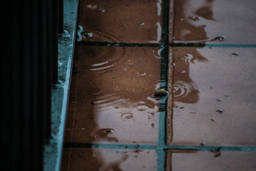 rain 