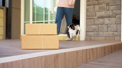 Contactless delivery concept. Asian woman and pets picking up paper box parcel at drop point in front of home with social distance, quarantine to protect form coronavirus. New normal delivery service.
