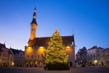 Fototapeta premium Night view of the Christmas tree near medieval The Tallinn Town Hall. Built in XIV century and firstly mentioned as consistorium in 1322, and in 1372 as town hall. Estonia.
