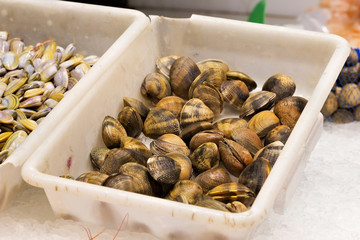Shellfish in white plastic boxs in the market.