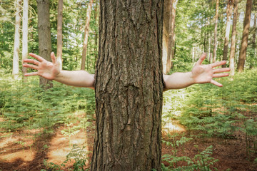 A tree charachter with outstrectched arms ready for a hug from a tree hugger in a funny environmental and nature concept