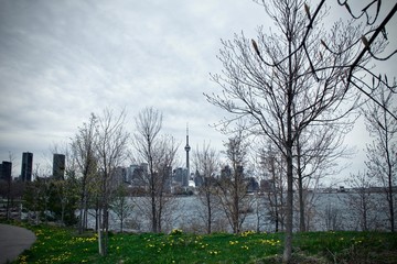 Obraz premium trees in the city