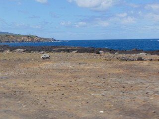 Férias na Ilha Terceira Açores - Portugal, mar, céu, costa, flores