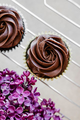 Beautiful lilac flowers and chocolate cupcakes on light background. 