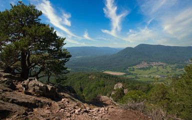 Landschaft im Elsass nahe des Val de Villé