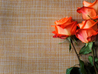orange beautiful flowers roses three pieces on a wicker background made of natural materials