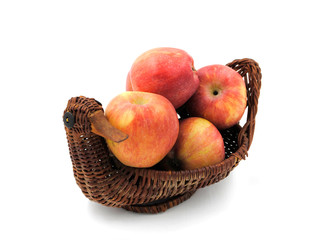 wicker basket in the shape of a duck with apples fresh harvest on a white background made of a wooden rod of natural vine
