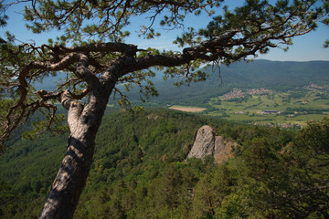 Fototapeta premium Landschaft im Elsass nahe des Val de Villé