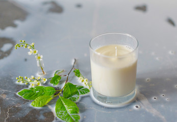 a splash of fresh milk in a glass on dark background with white cherry branch
