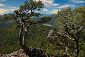 Landschaft im Elsass nahe des Val de Villé