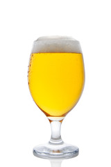 glass of cold light beer on a white background