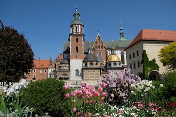 Royal Wawel Castle and beautiful garden with colorful flowers. Cracow, Poland. 