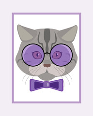 Greeting card with a cute cat in glasses and a bow-tie. Vector illustration of a cat
