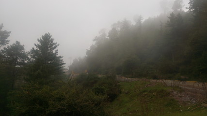 Fototapeta na wymiar misty morning in the mountains