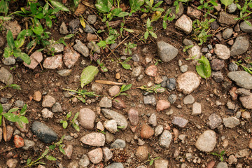 Top view on natural earth with stones and grass