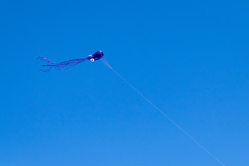 Purple kite (with eyes) up in the clear blue sky