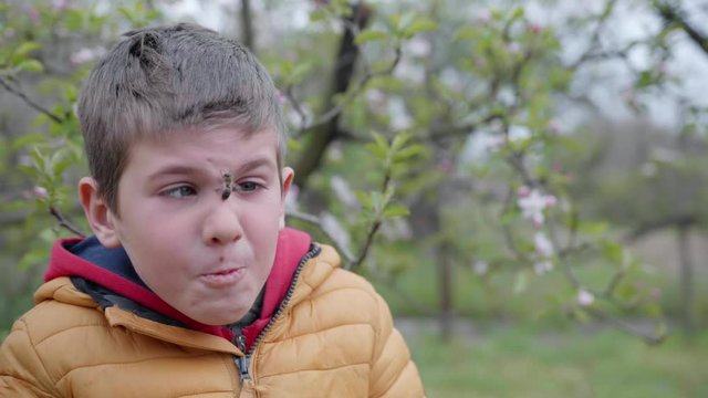 portrait of a funny boy who has a honey bee on his face, a forgotten child is afraid of an insect bite on a warm sunny day