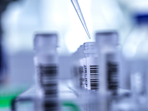 Close-up of pipette filling test tube with human saliva sample