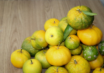 Delicious organic fruits.
Beautiful lemons, oranges and bergamots.