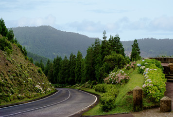Estrada de montnha em São Miguel