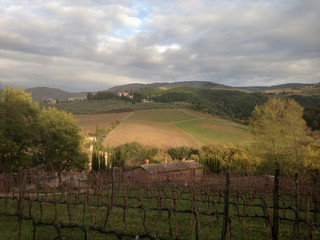 Classic Tuscany landscape