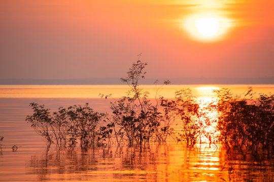 Fantastic sunset with the sun setting over the horizon in the Amazon Basin, Manaus, Brazil