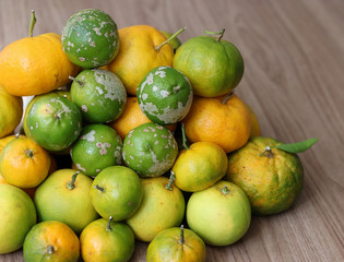 Delicious organic fruits.
Beautiful lemons, oranges and bergamots.
