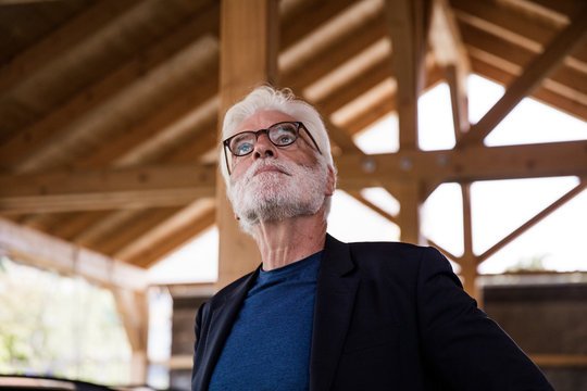 Portrait of bearded senior man with white hair looking up