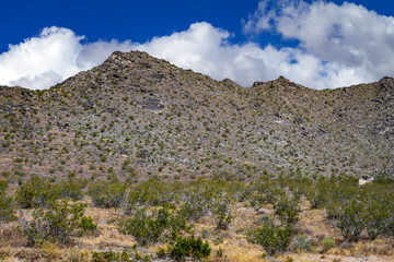 Fototapeta na wymiar Mojave Desert Mountain with clouds in Apple Valley, California