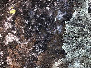 Floor 024