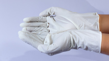 Fototapeta na wymiar Female doctor wearing medical latex gloves in both hands together
