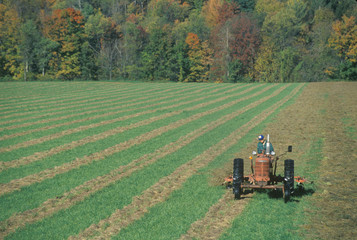 Farmer on a tractor in autumn in Stowe, VT