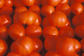 Tomatoes at a fruit stand in White Pigeon, MI