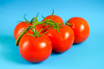 a branch of five ripe red tomatoes lies on a blue background. raw vegetables