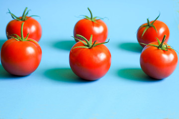 six tomatoes are symmetrically laid out on a blue background. raw red vegetables