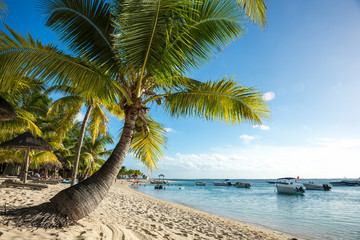 ocean resort