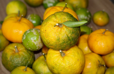 Delicious organic fruits.
Beautiful lemons, oranges and bergamots.