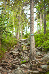 green trail
