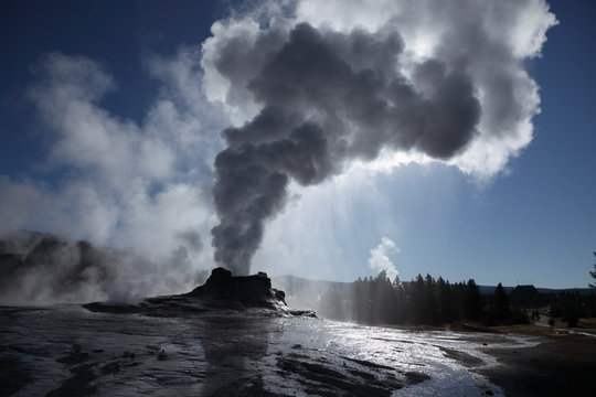 View of Castel Geyser at Yellowstone National Park