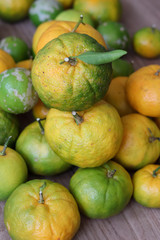 Delicious organic fruits.
Beautiful lemons, oranges and bergamots.