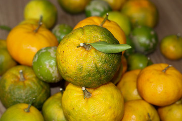 Delicious organic fruits.
Beautiful lemons, oranges and bergamots.