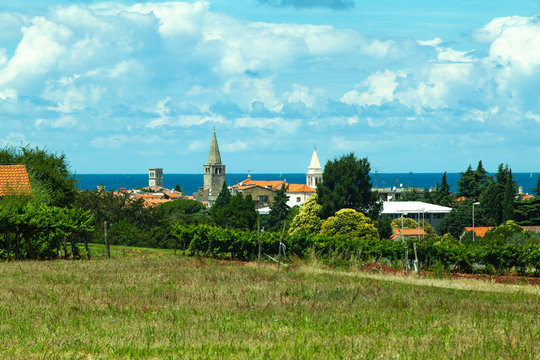 Green trees near medieval buildings