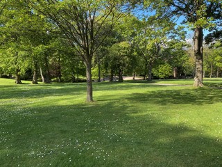 Trees with spring foilage, set in a grass meadow with flowers, set against a blue sky, in Lister Park, Bradford, Yorkshire, England