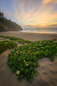 Sunset at a Rocky Beach, Northern California Coast