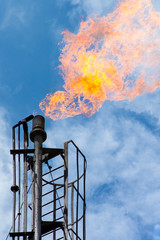 Planta de tratamiento de gas metano, producción y distribución