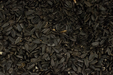 Black sunflower seeds, square organic background