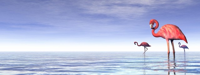 Pink flamingos in the water by day - 3D render © Elenarts