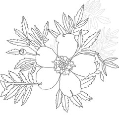 Linear art of a beautiful flower with leaves. Black and white botanical illustration.