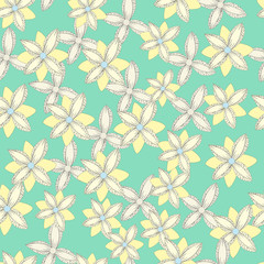 Abstract floristic pattern on a mint green background. Flowers arranged in an irregular pattern. Yellow and white plants. Seamless vector illustration. Template and swatch for fabric, wrapper.