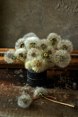 Still life with dandelions. Vintage. Author's style.
